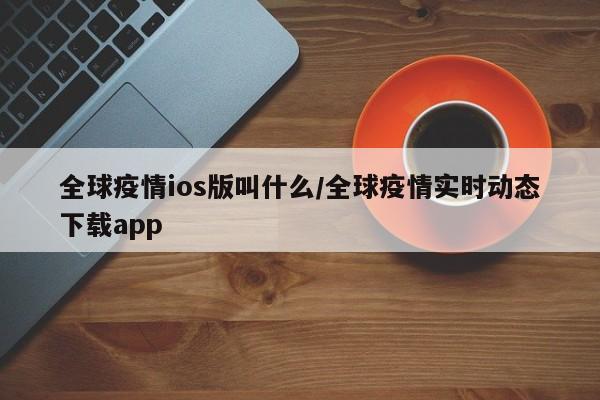 全球疫情ios版叫什么/全球疫情实时动态下载app